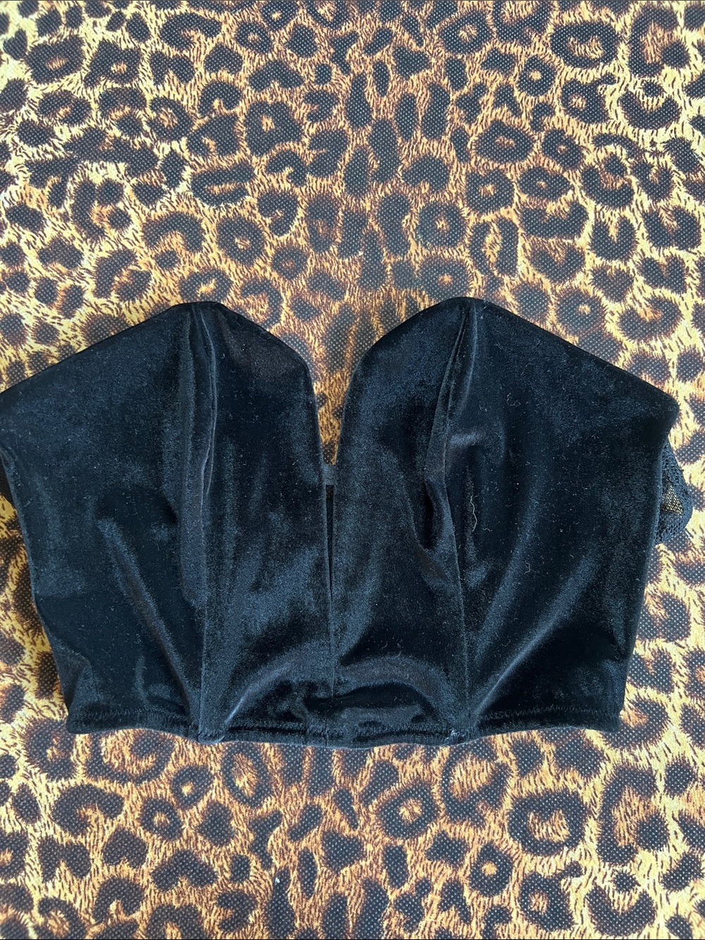 Victoria’s Secret corset